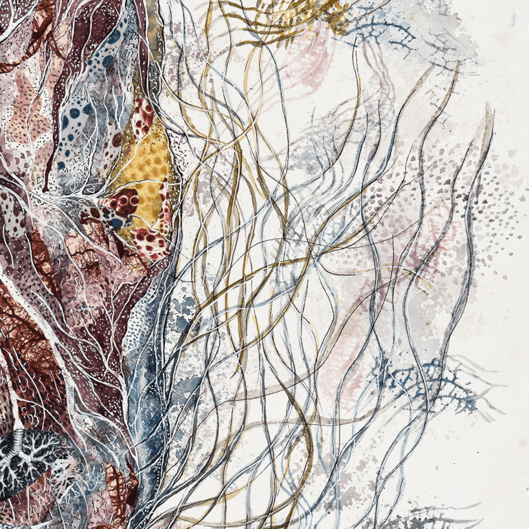 Forms in Flux and Fragmentations 1.1