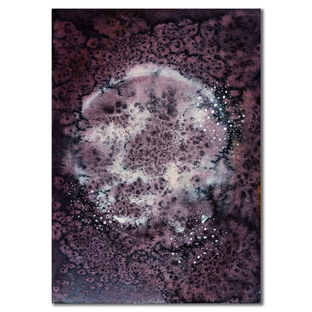 Dips and Swells, Adrift and at sea (Set of Four)