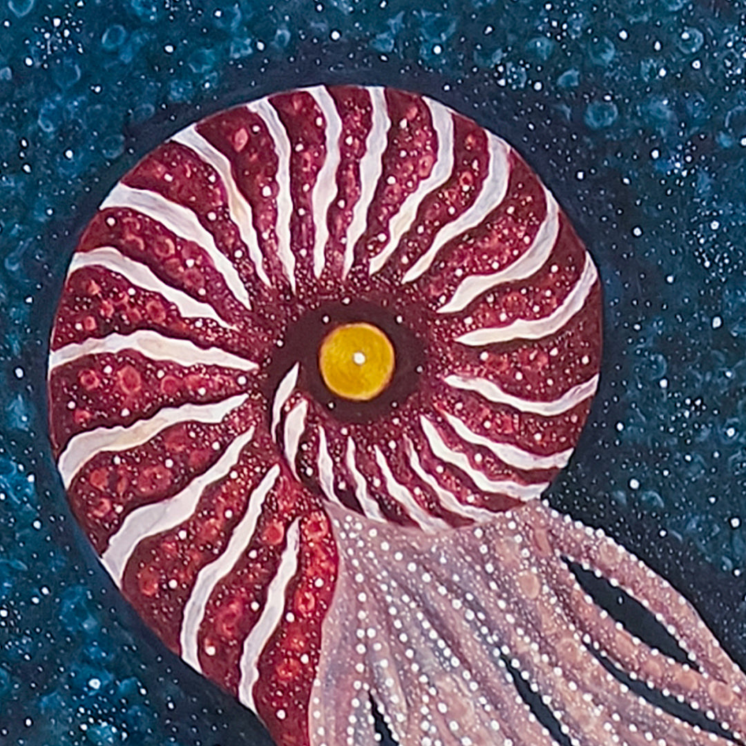 Moonlight Shifts Over Things Remembered