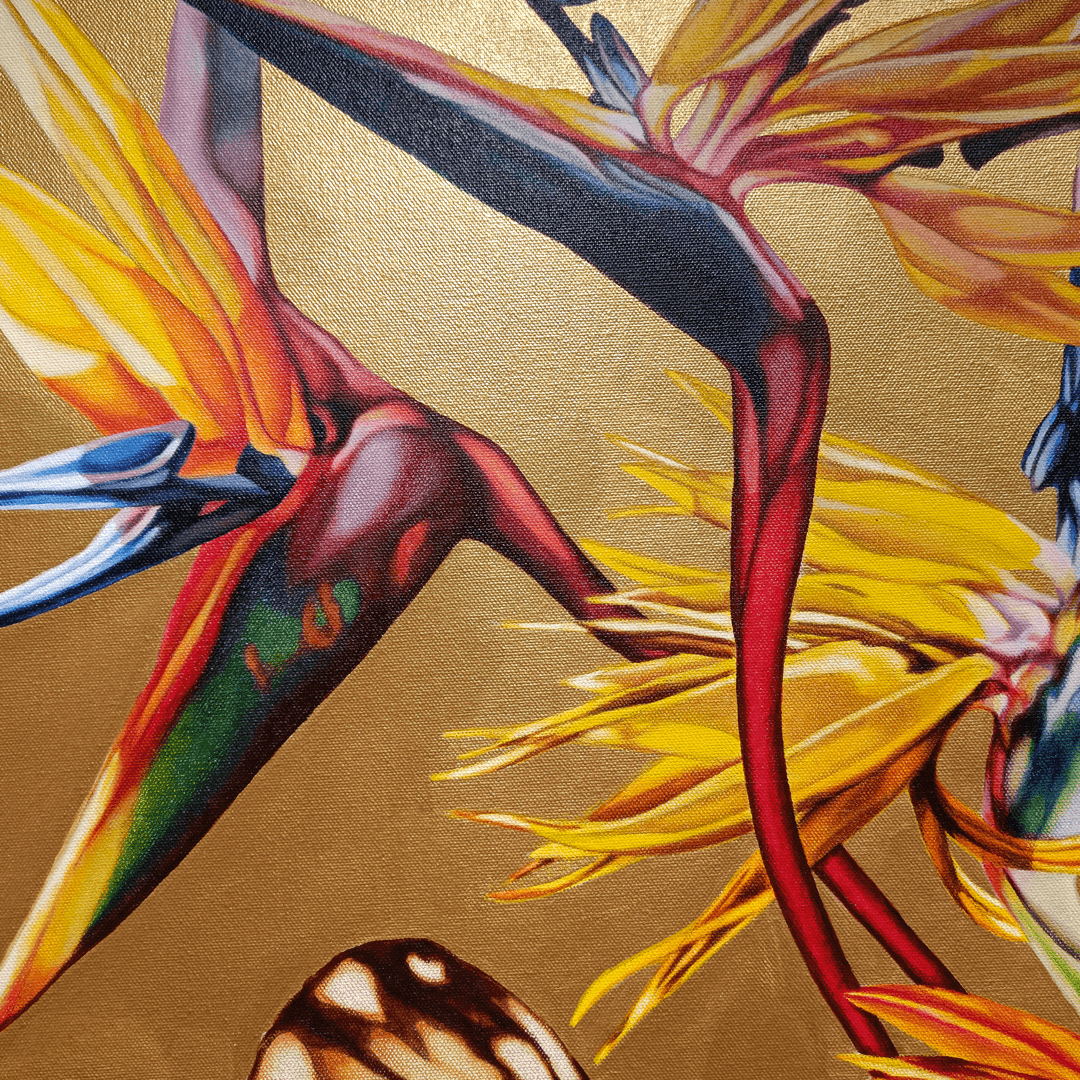 Butterflies at Bannerghatta National Park on the eve of Valentine's Day