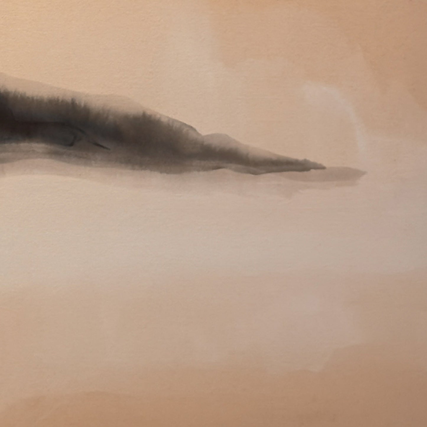 Soft Horizon