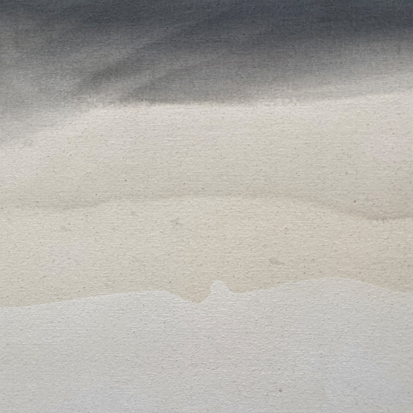 Soft Horizon