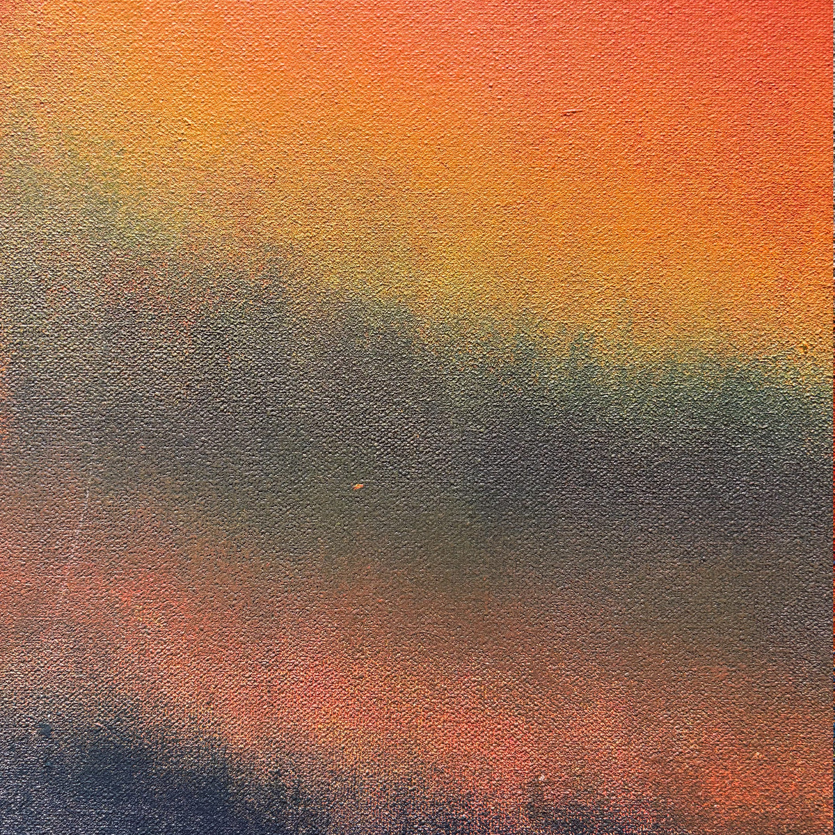 Forest Fire