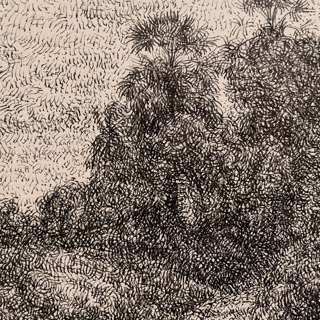 Land Bridge at an Kuppam