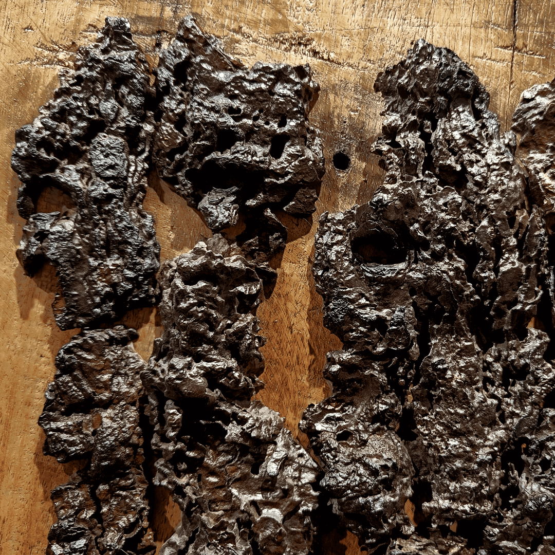 Euphorbia antiquorum