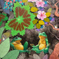 The Meditator and the Merry - Life in Nature Series