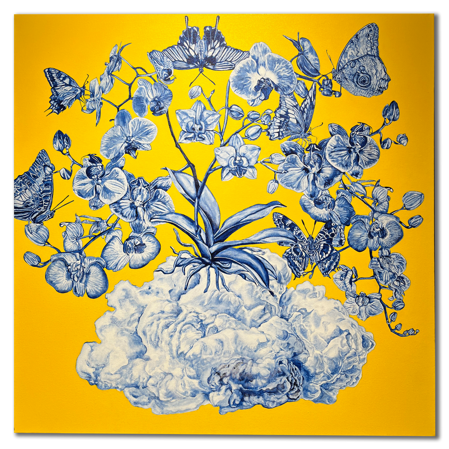 Metamorphosis- An Monsoon Cloud