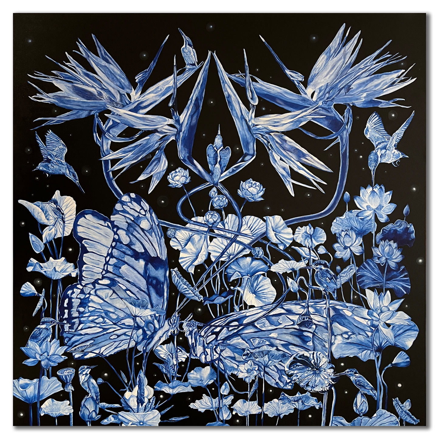 Butterflies at Bannerghatta Lake on the eve of Valentine's  Day