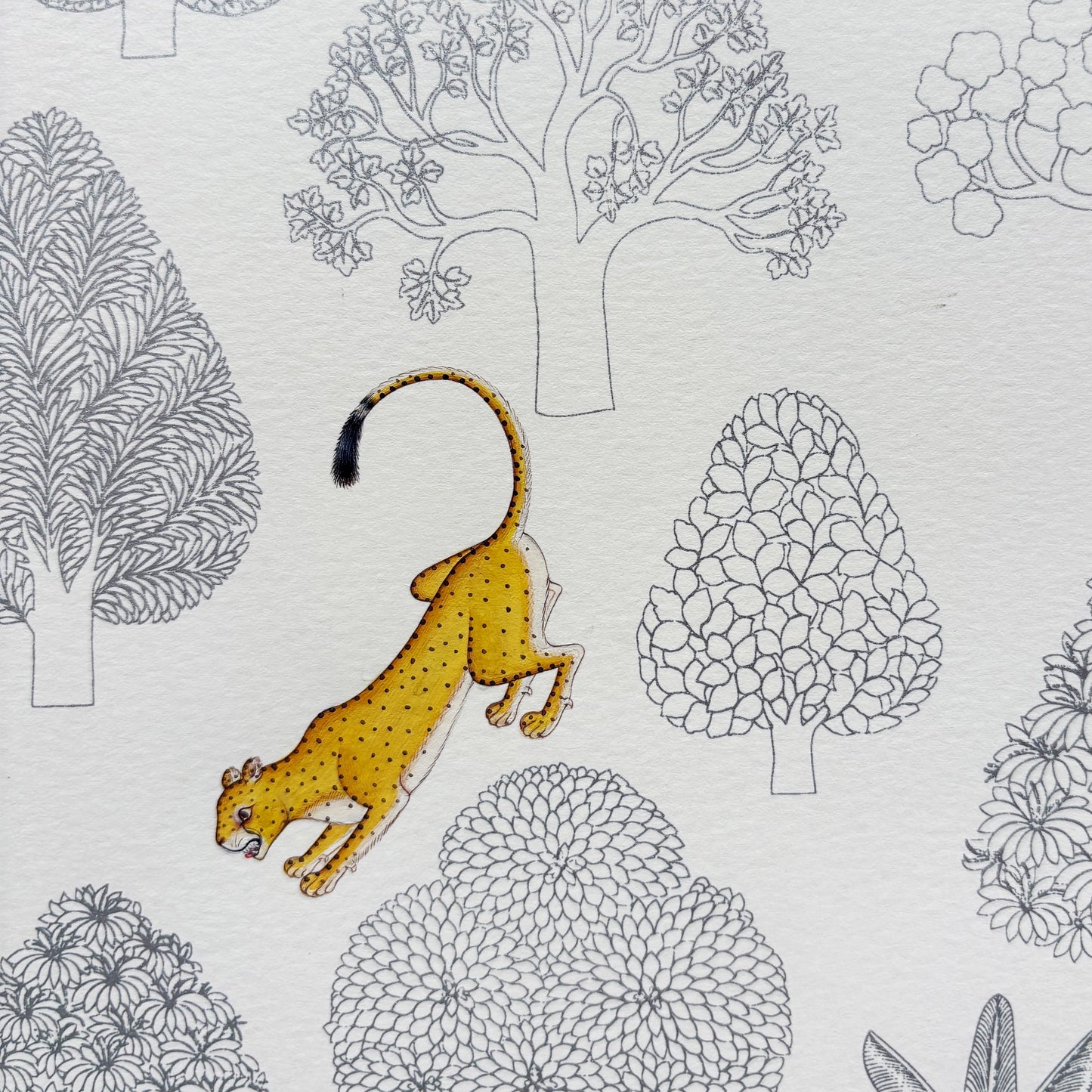 Cheetahs of Kuno