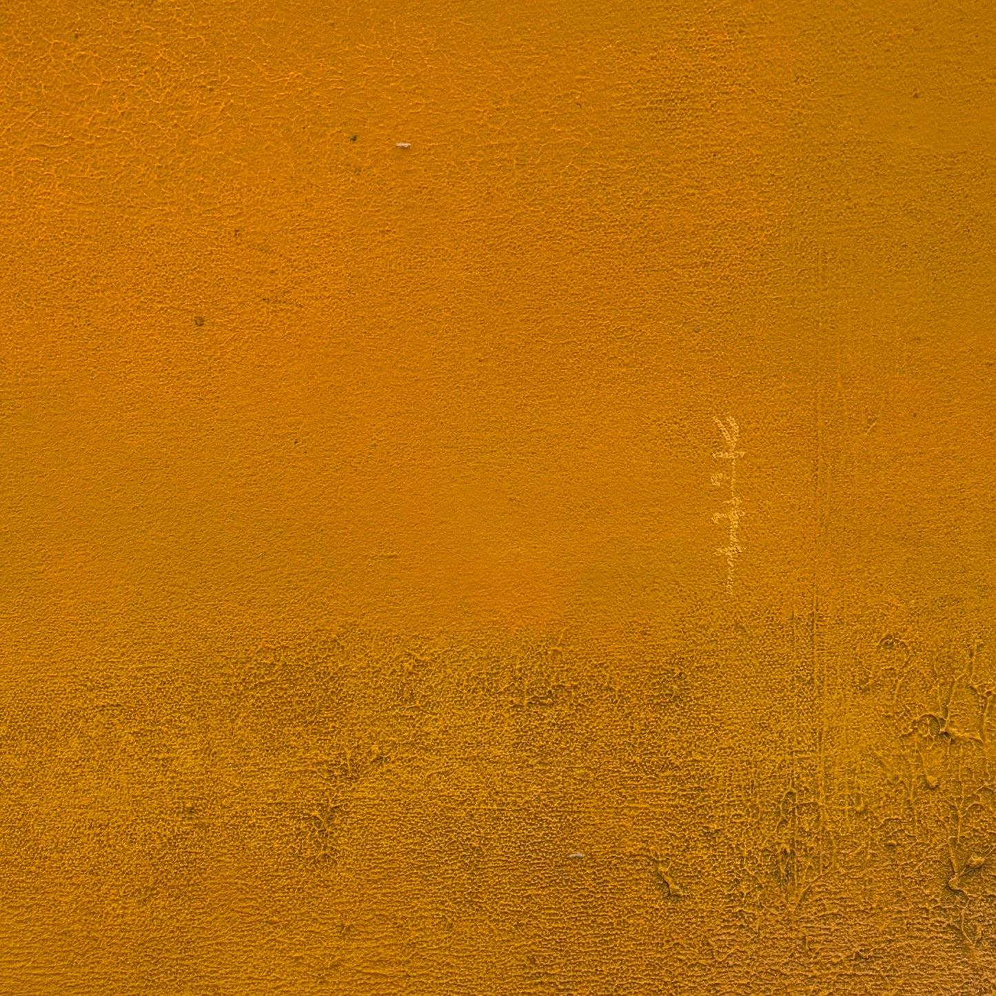 Timeless Terrain