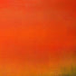 Forest Fire