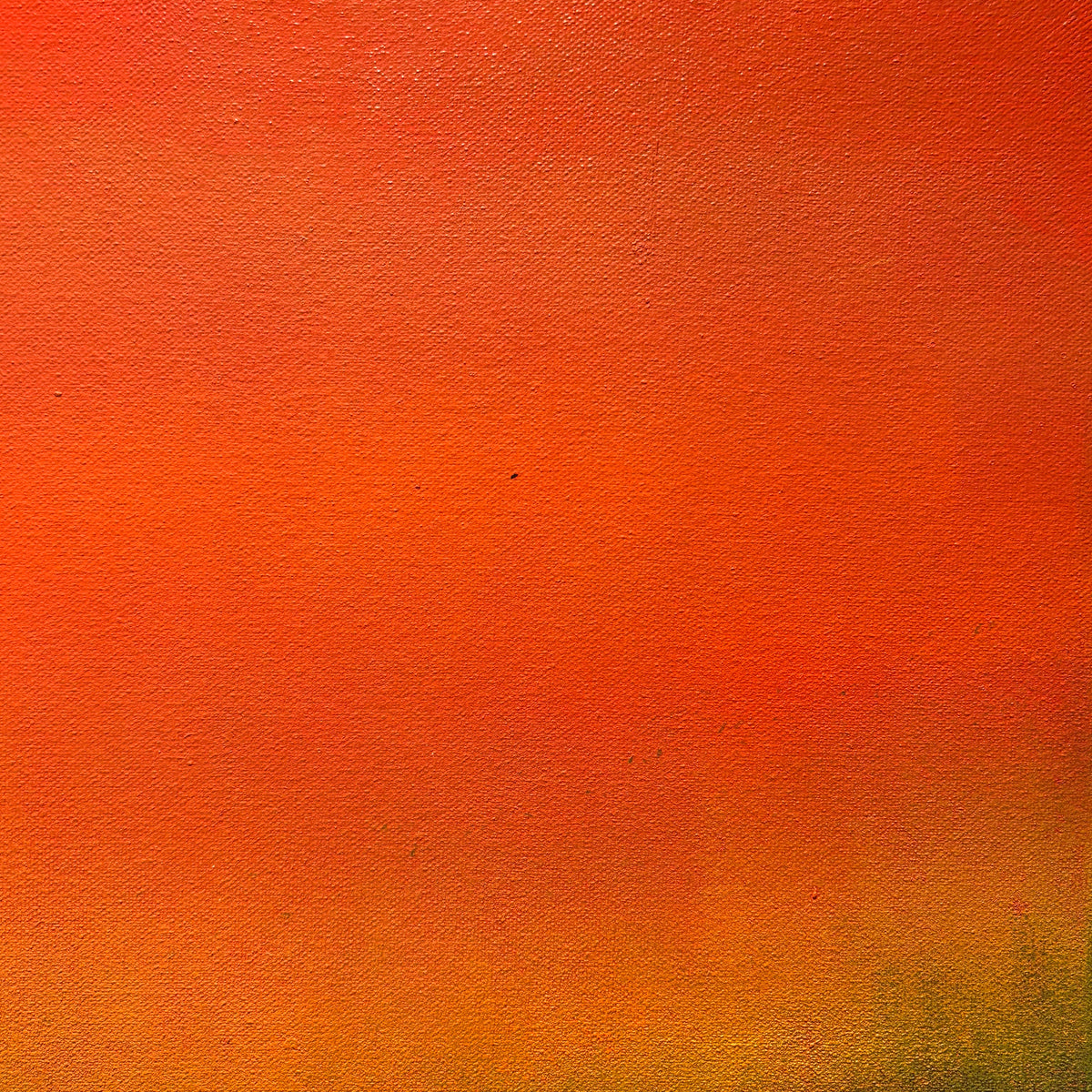 Forest Fire