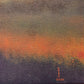 Forest Fire