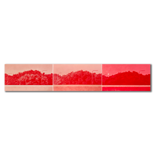 Temporal Landscape_1 (Triptych)
