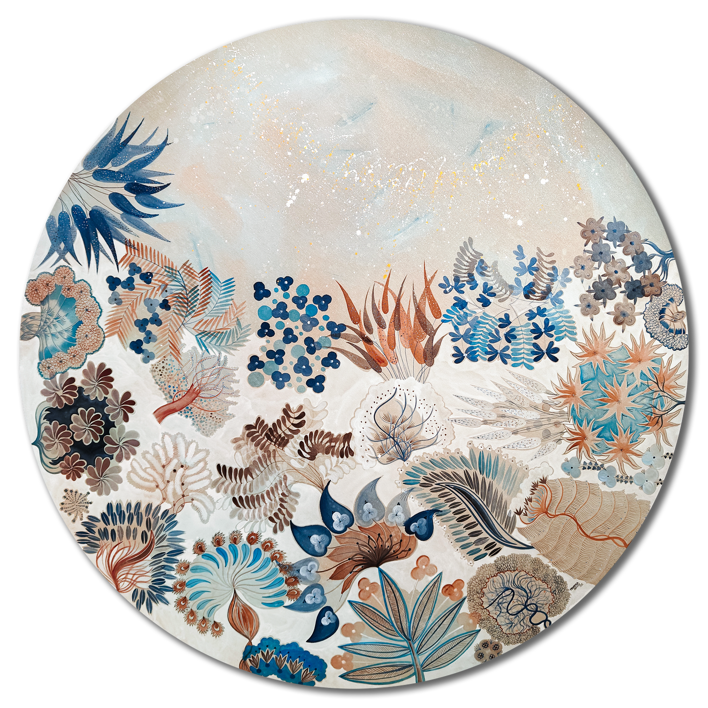 The Evolving Face/ Phase