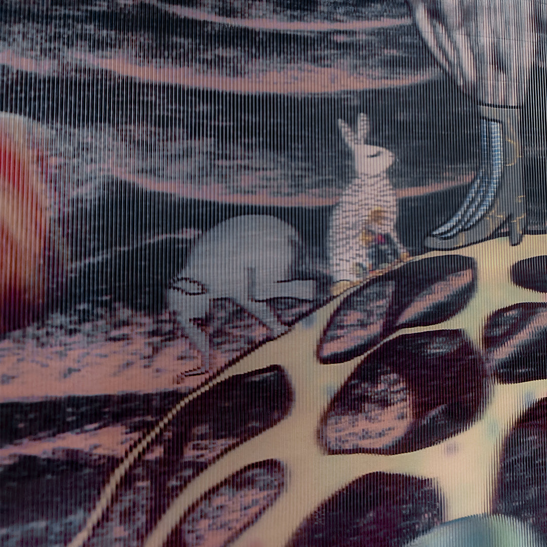 The Girl of Balance - Limited  Edition of 20