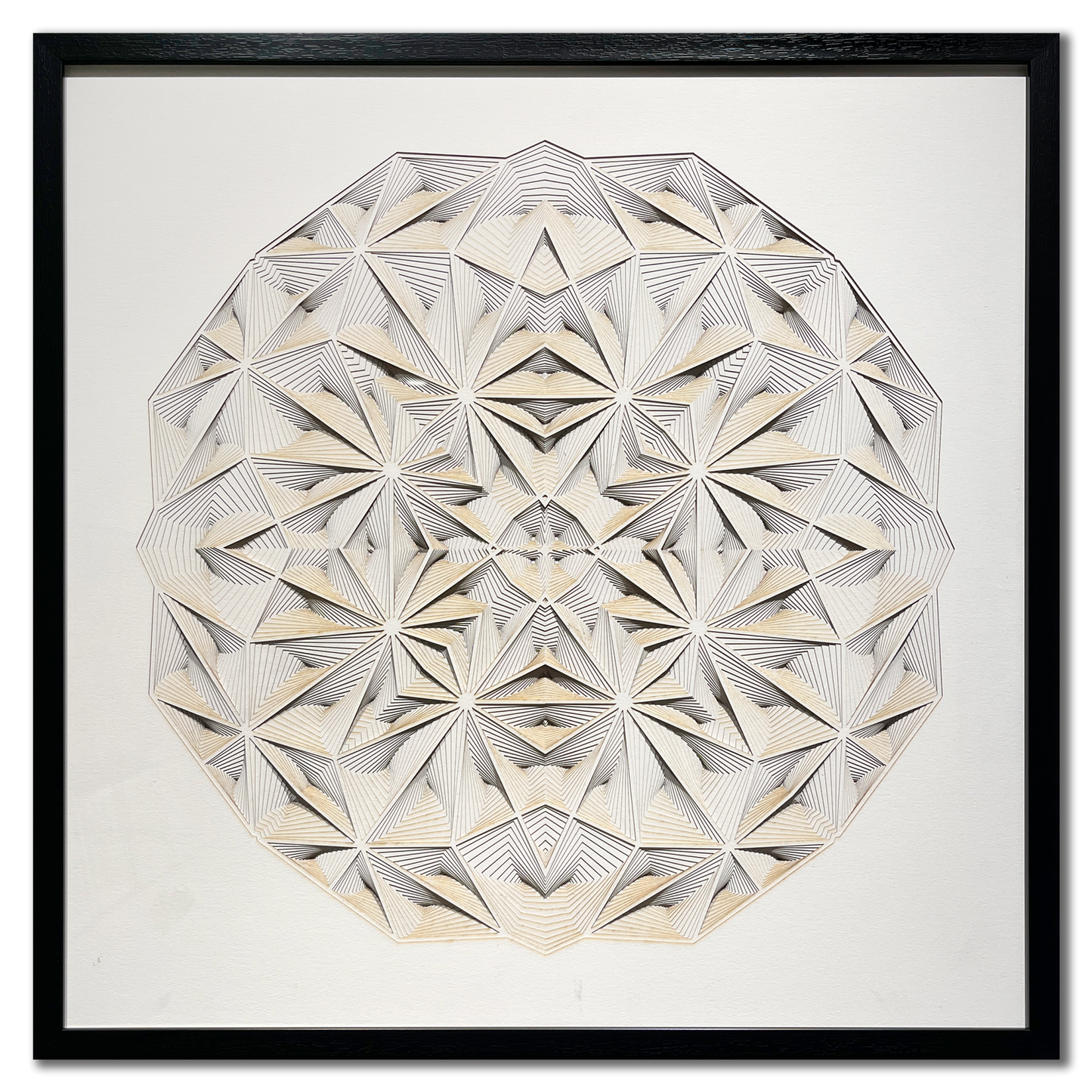 Construction 194 (LCS194)