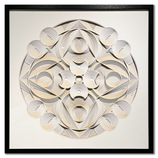 Construction 206 (LCS206)