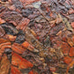 Artocarpus heterophyllus