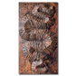 Senegalia chundra