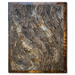 Tectona grandis