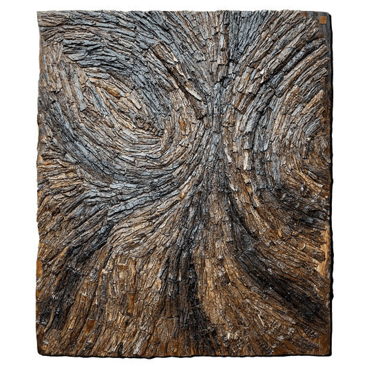 Senegalia chundra