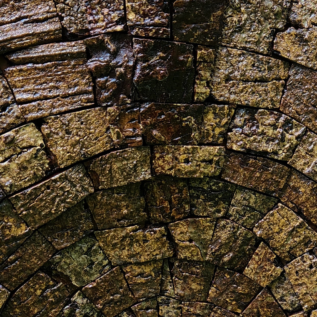 Albizia odoratissima