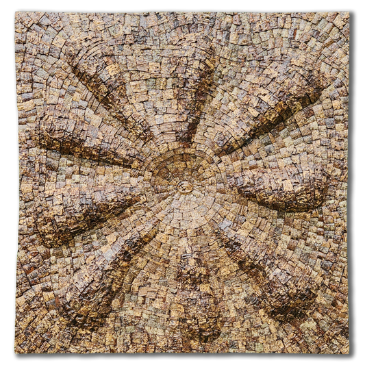 Albizia odoratissima